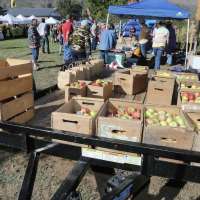 Apples for fire protection — New Harmony festival boosts funds for volunteer fire department