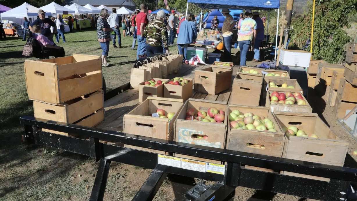 Residents of New Harmony in Washington County will be raising funds for the local volunteer fire department by selling apples at the 28th annual New Harmony Apple Festival.
