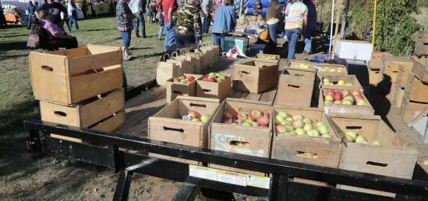 Apples for fire protection — New Harmony festival boosts funds for volunteer fire department