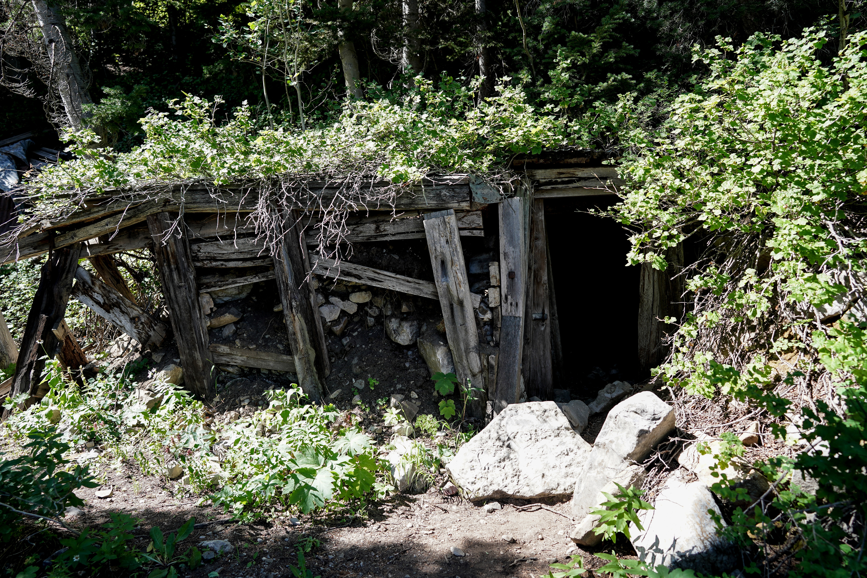 Recent US reports show abandoned mines could be lurking under homes. What about Utah? 