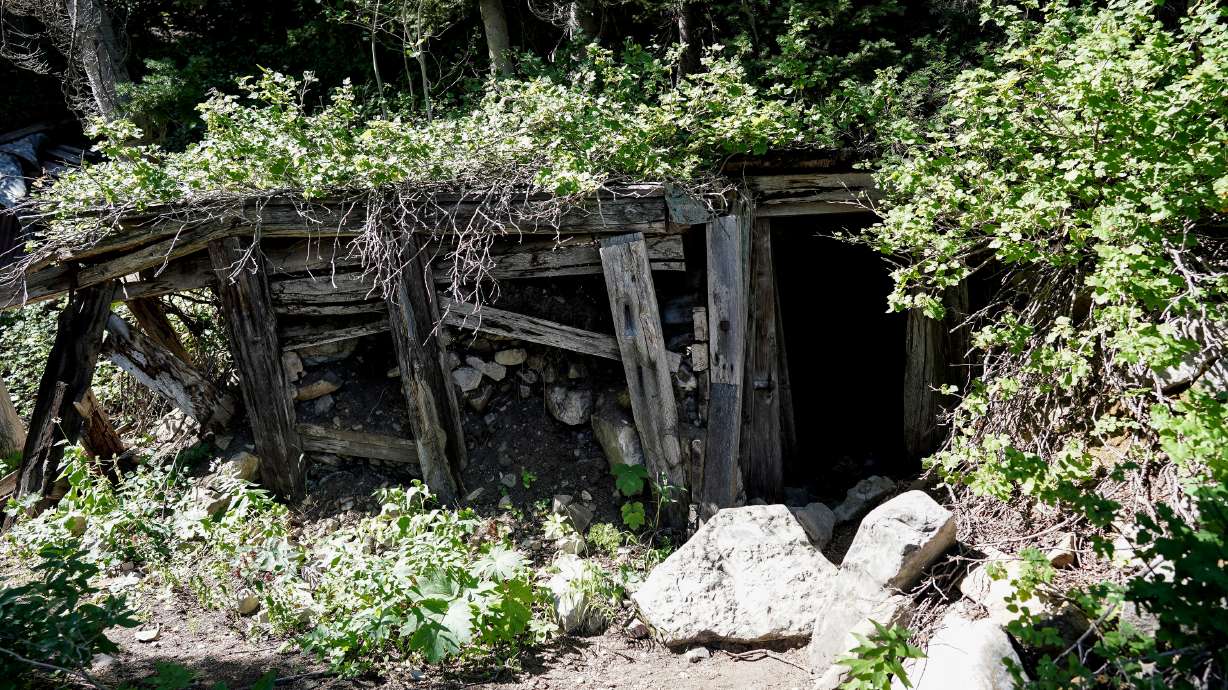 An abandoned mine shaft, caved in just past the entrance, is seen in Mill D South Fork of Big Cottonwood Canyon on Wednesday, Aug. 12, 2020.