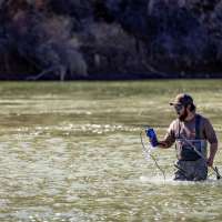 Destructive invasive species has entered Utah portion of Colorado River