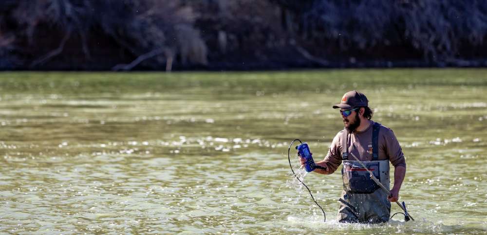 Destructive invasive species has entered Utah portion of Colorado River