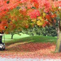 Fun ways to get moving before winter arrives