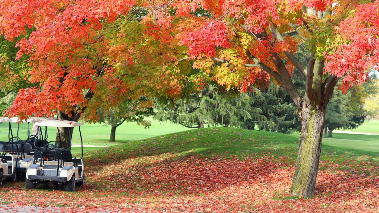 Fun ways to get moving before winter arrives
