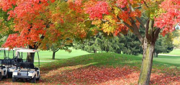 Fun ways to get moving before winter arrives