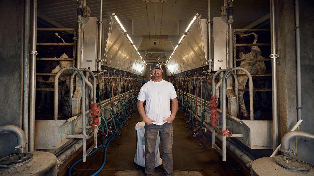 National Farmers Day: What does it really take to be a dairy farmer?