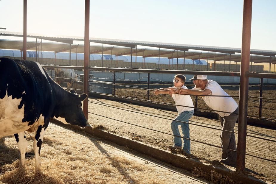 National Farmers Day: What does it really take to be a dairy farmer? 