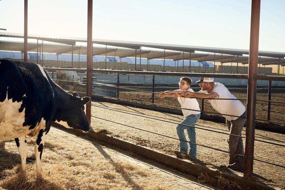 National Farmers Day: What does it really take to be a dairy farmer?