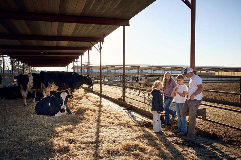 National Farmers Day: What does it really take to be a dairy farmer?
