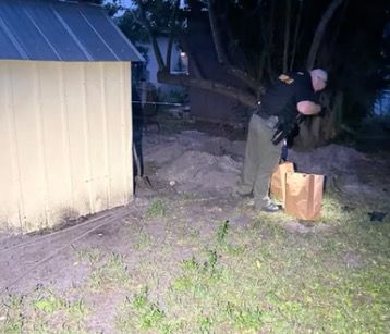 Florida woman arrested after cats found buried alive in her yard