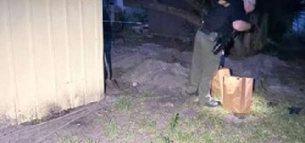 Florida woman arrested after cats found buried alive in her yard