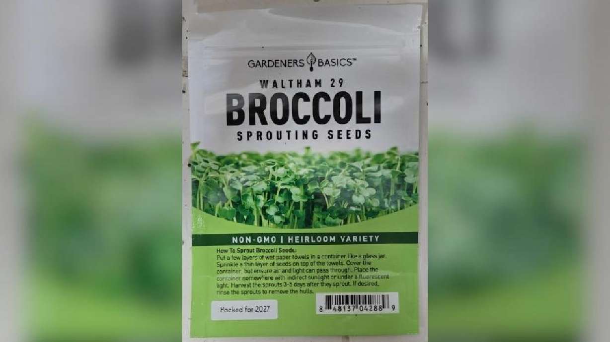 Gardeners Basics Waltham 29 Broccoli Sprouting Seeds