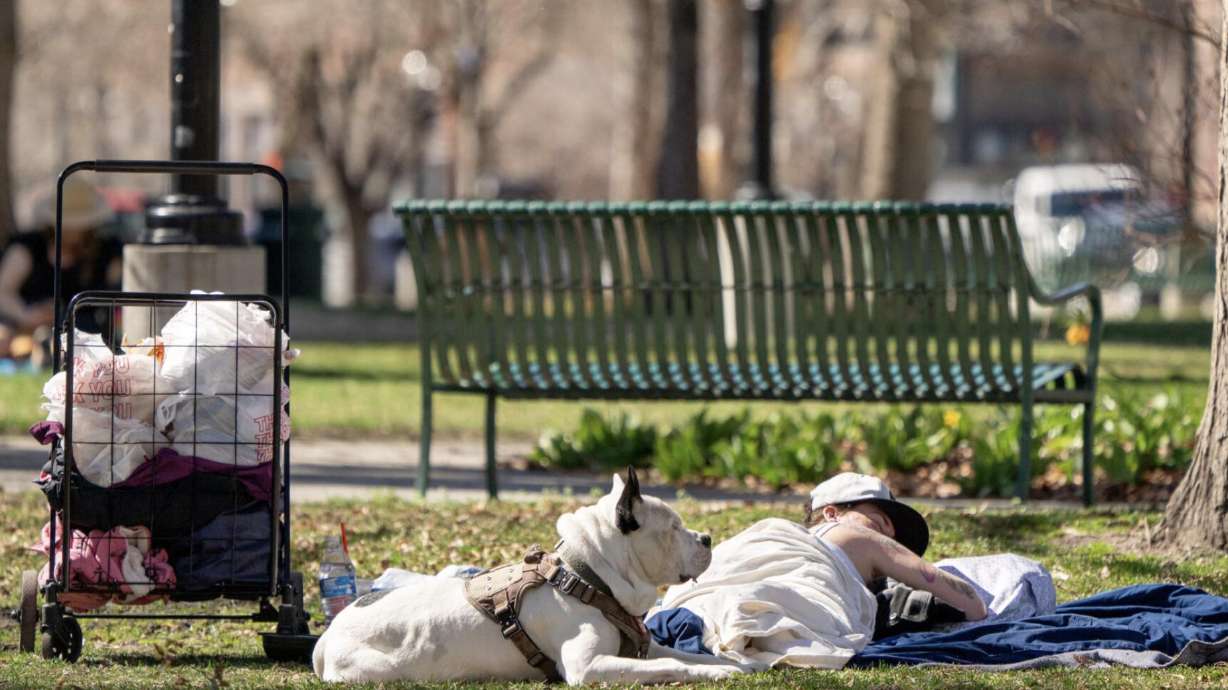 A person and a dog lay in the grass outside the City-County Building in Salt Lake City on March 26, 2025.