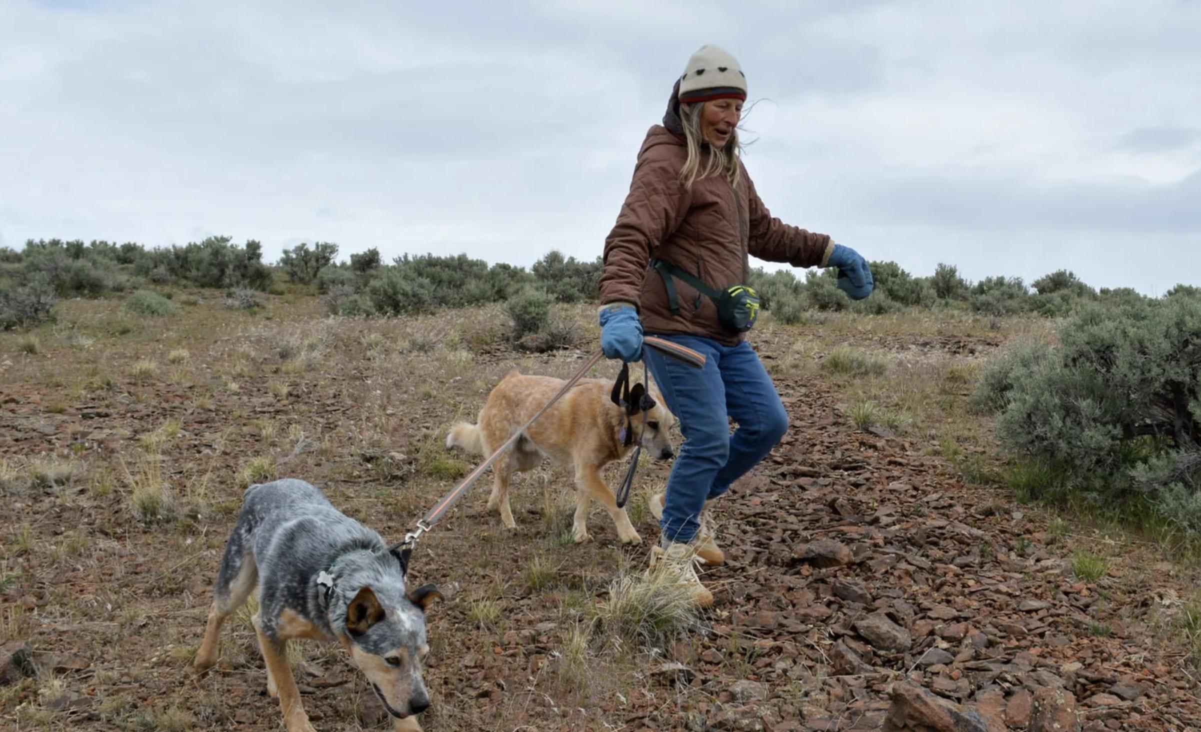 Critical Minerals Agenda comes for America's 'Forgotten Wildlife Corridor'
