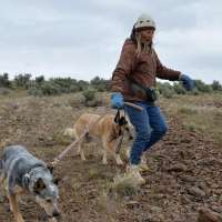 Critical Minerals Agenda comes for America's 'Forgotten Wildlife Corridor'