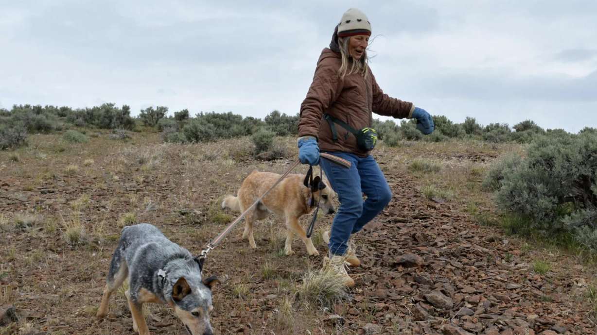 Katie Fite, public lands director for WildLands Defense, walks with her dogs near a lithium project in the McDermitt Caldera area of Oregon on May 4, 2025.