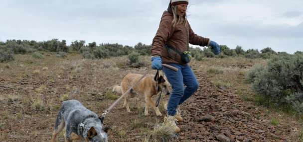 Critical Minerals Agenda comes for America's 'Forgotten Wildlife Corridor'