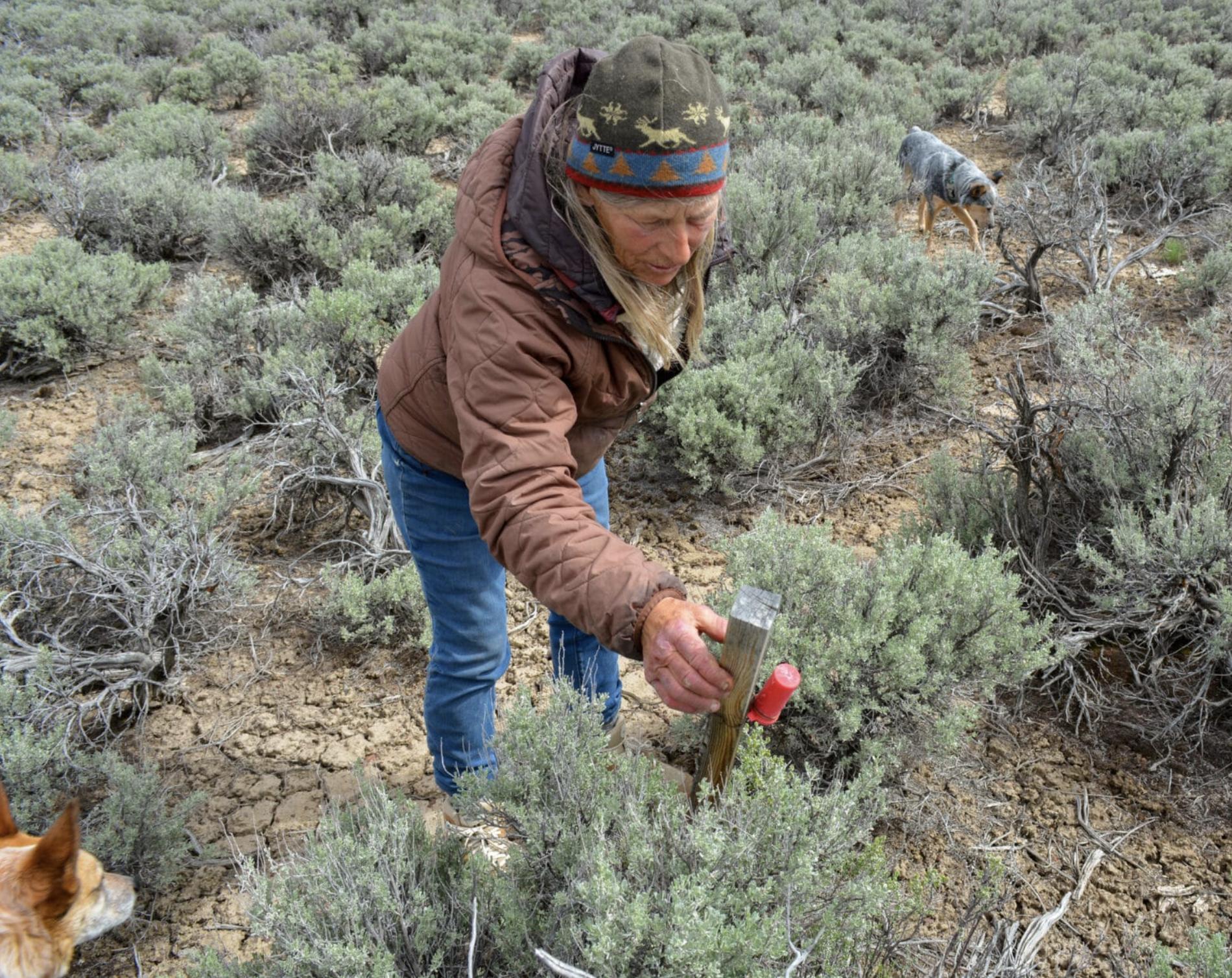 Katie Fite inspects a mining claim in Oregon’s McDermitt Caldera.