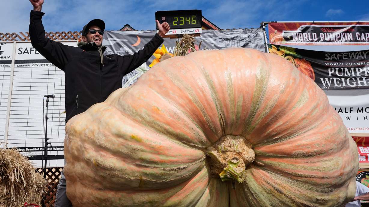 Brandon Dawson, left, celebrates after winning the Safeway 52nd annual World Championship Pumpkin Weigh-Off in Half Moon Bay, Calif., Oct. 13, 2025. Giant pumpkin growers and their massive gourds will converge on Monday in Northern California for an annual pumpkin-weighing contest, competing for the top prize.