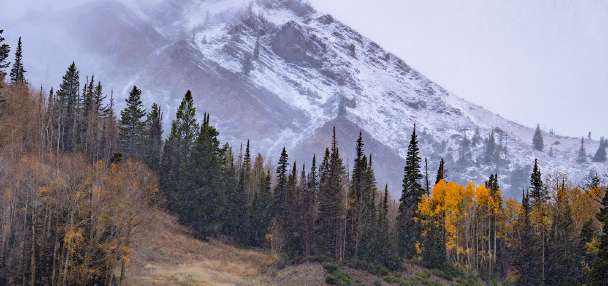 Tropical storm remnants forecast to produce Utah's first big mountain snow of the season