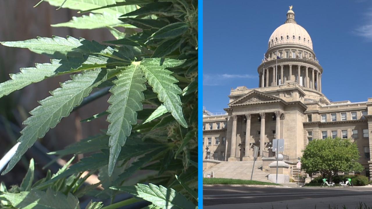 Marijuana on the ballot for the final time in Idaho? Voters to decide if lawmakers have sole power to legalize