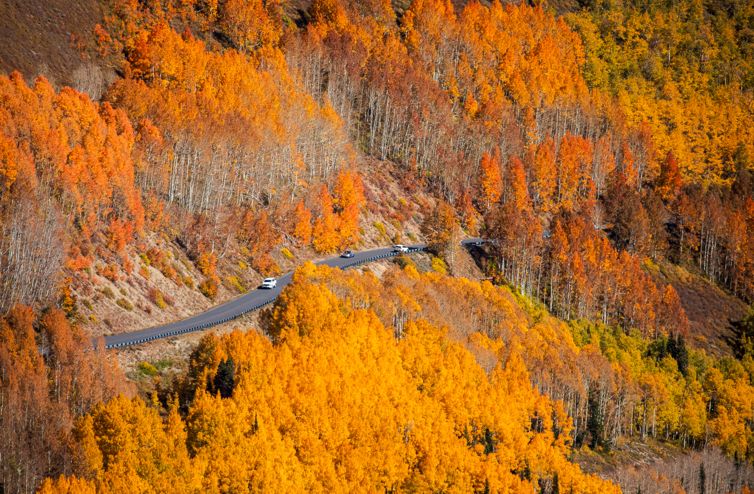 UDOT to temporarily close Guardsman Pass amid snow forecast