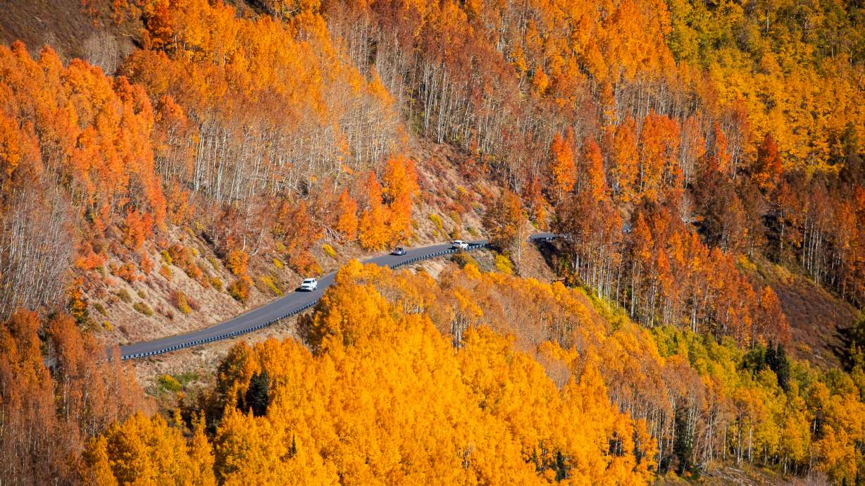 Vehicles travel past the fall foliage along Guardsman Pass on Oct. 2. The route between Brighton and the Wasatch Back will be temporarily closed beginning Monday at 9:30 p.m. because of snowy conditions, Utah transportation officials said.
