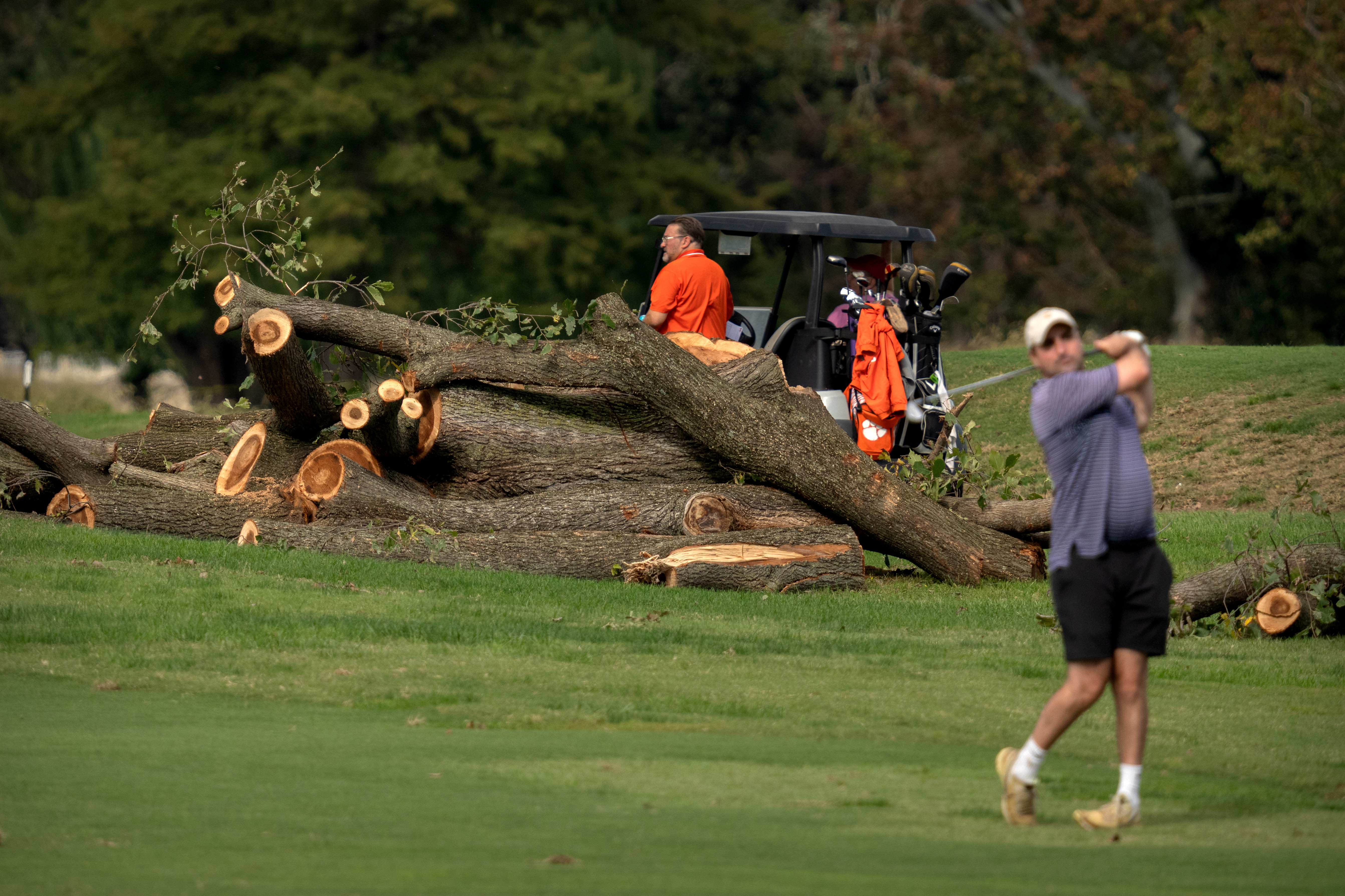 Golfers hit from the fairway near log sections cut from trees at the East Potomac Golf Links, Monday, Oct. 12, 2026, in Washington.