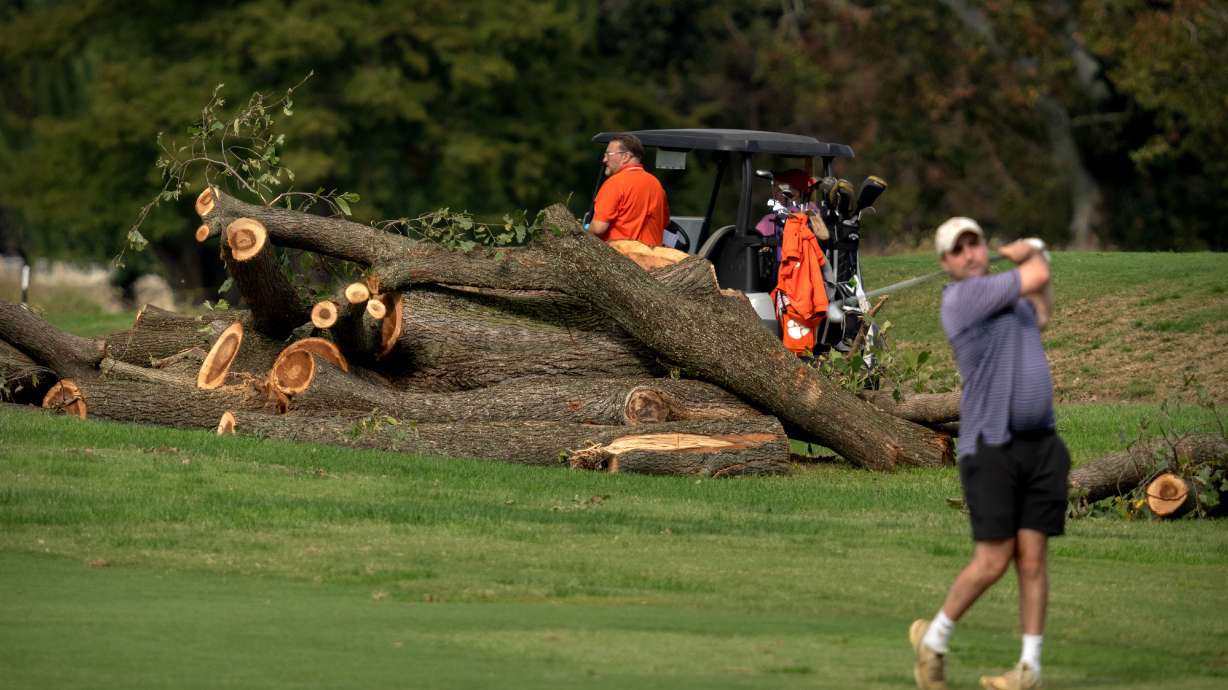 Golfers hit from the fairway near log sections cut from trees at the East Potomac Golf Links, Monday, Oct. 12, 2026, in Washington.