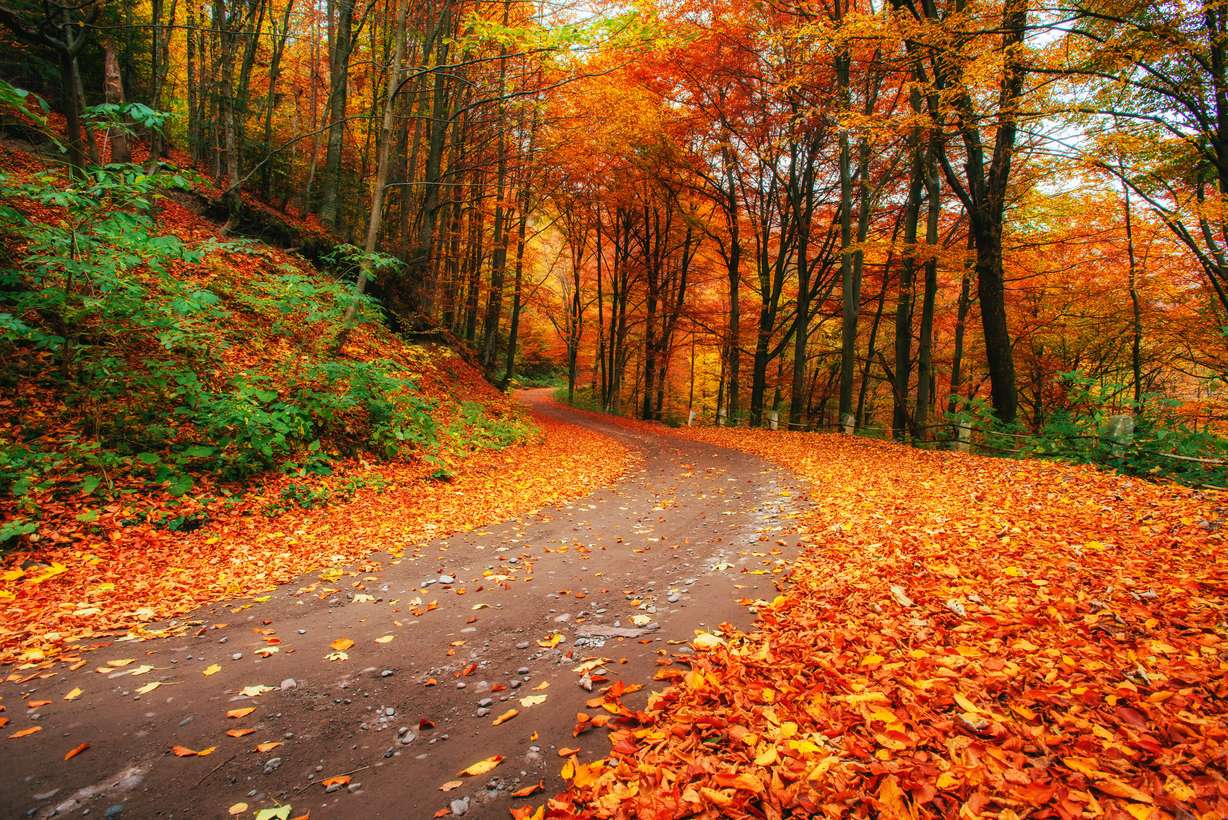 The ultimate Wasatch Front fall & Halloween fun guide