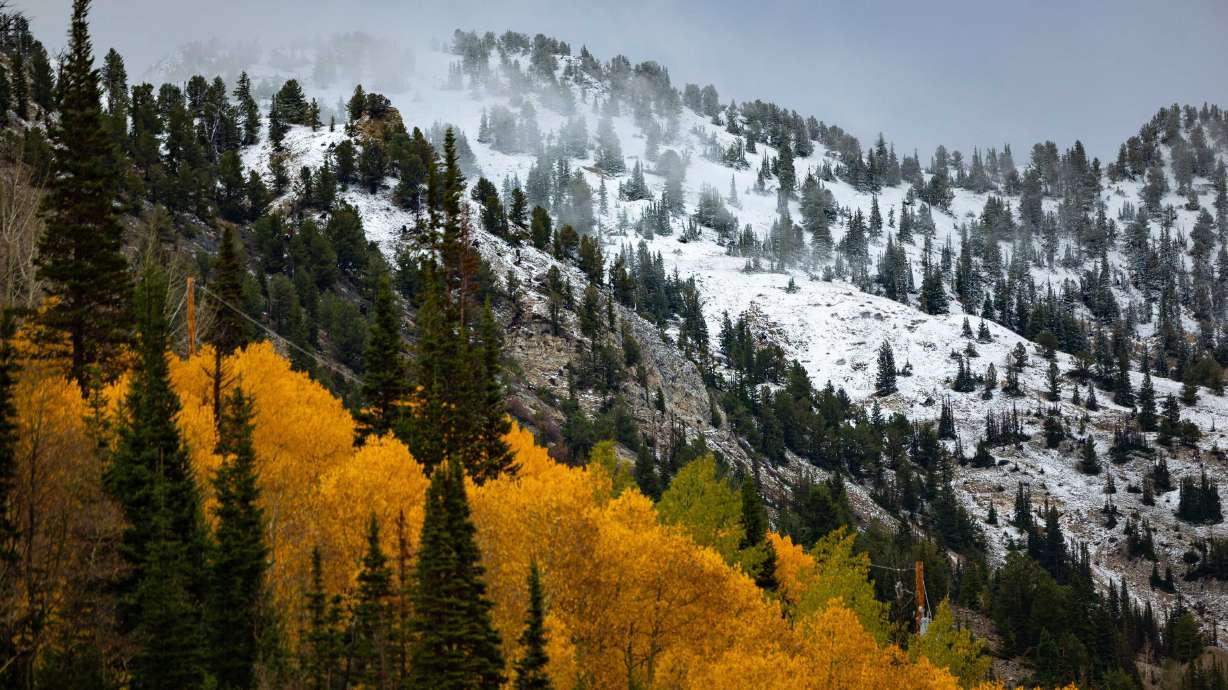 Cold weather brings in the first mountain snow in Little Cottonwood Canyon near Alta on Monday.