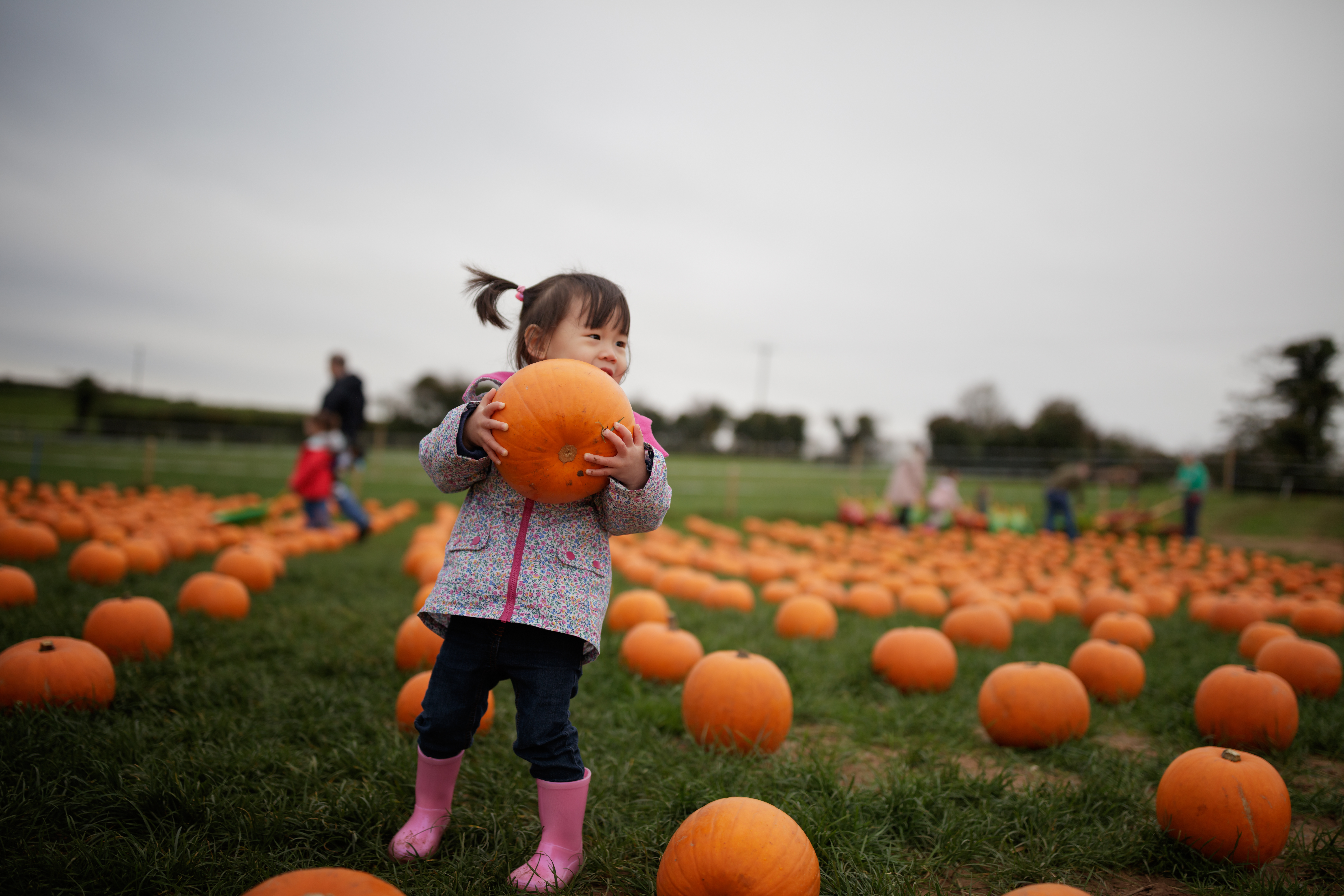 The ultimate Wasatch Front fall & Halloween fun guide