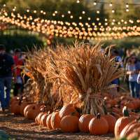 The ultimate Wasatch Front fall map & Halloween fun guide