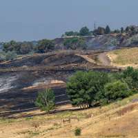 Deadly Washington Terrace fire sparked by brush-cutting along rail corridor, probe finds