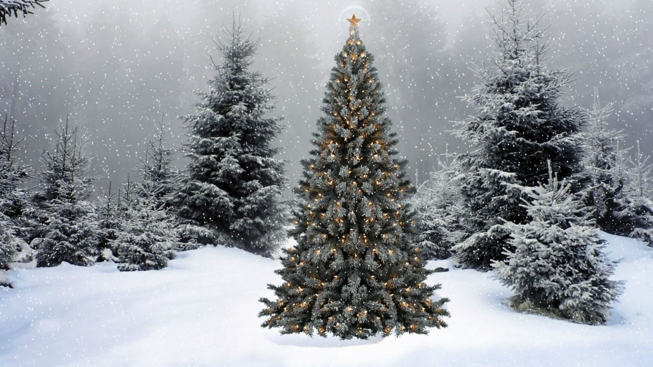 2026 Saratoga Springs City Christmas Tree Lighting