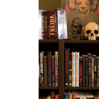 Utah bookstore embraces all things spooky year-round