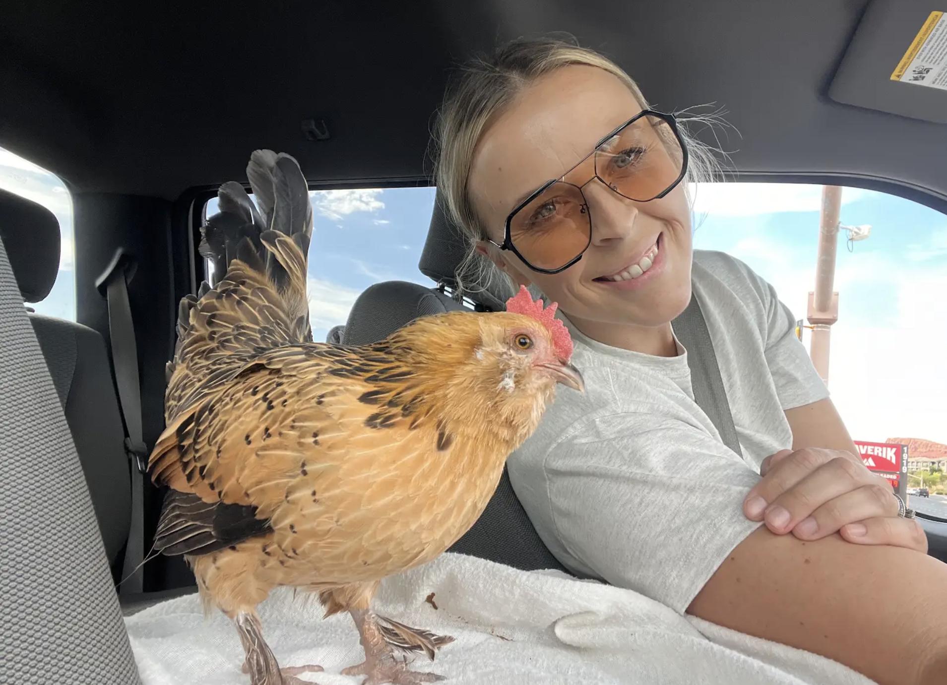 Emily Potter started the Salty Sanctuary five years ago.

It has cows, horses, a mini mule, a llama, some goats, a sheep, nine chickens, and a recently rescued Texas longhorn.