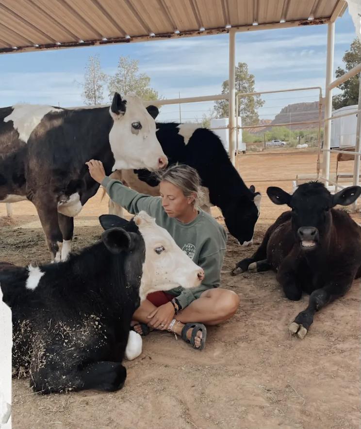 'They deserve this': Southern Utah animal sanctuary hoping to move to forever home