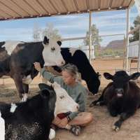 'They deserve this': Southern Utah animal sanctuary hoping to move to forever home