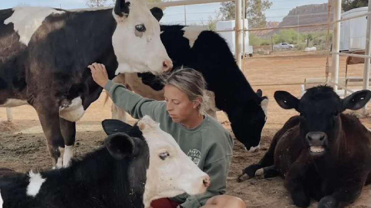 For the past five years, southern Utah resident Emily Potter has been running The Salty Sanctuary, where she rescues farm animals.