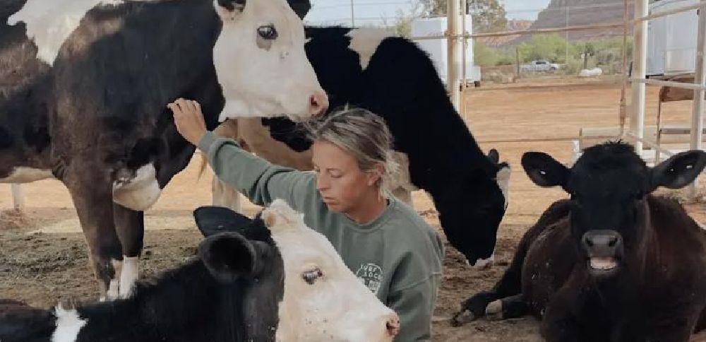 'They deserve this': Southern Utah animal sanctuary hoping to move to forever home