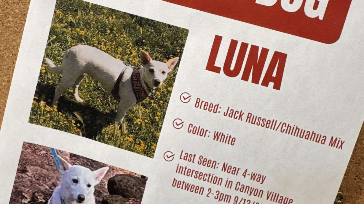This photo made with a smartphone and provided by Marie Jaskula shows a poster, created by Katie Boucher, asking for information about a missing dog named Luna, Tuesday, at Yellowstone National Park, Wyo.