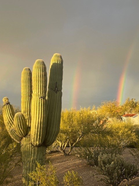 Wickenburg, AZ is an easy winter escape with golf, guest ranches and the Old West