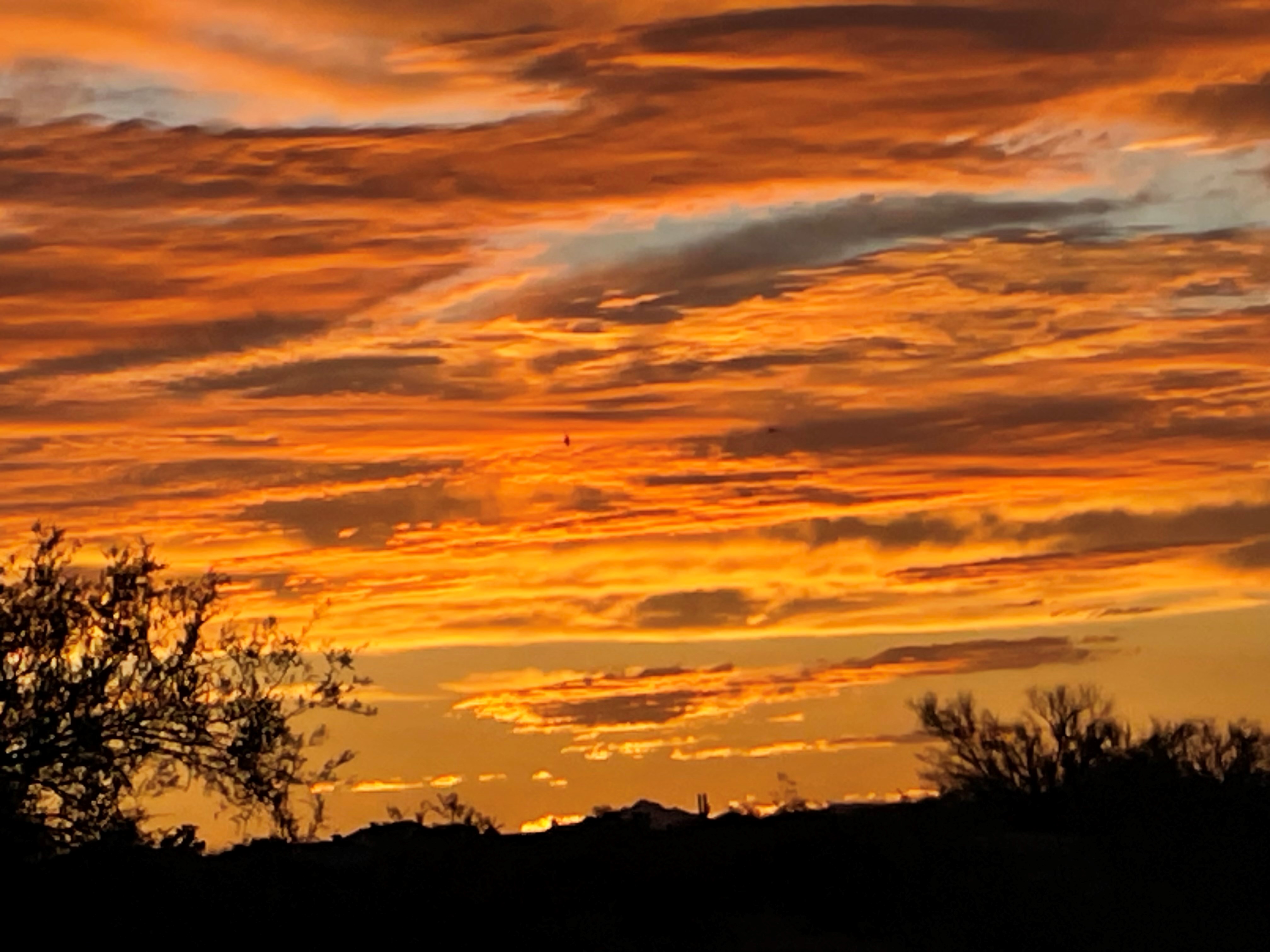 Wickenburg, AZ is an easy winter escape with golf, guest ranches and the Old West
