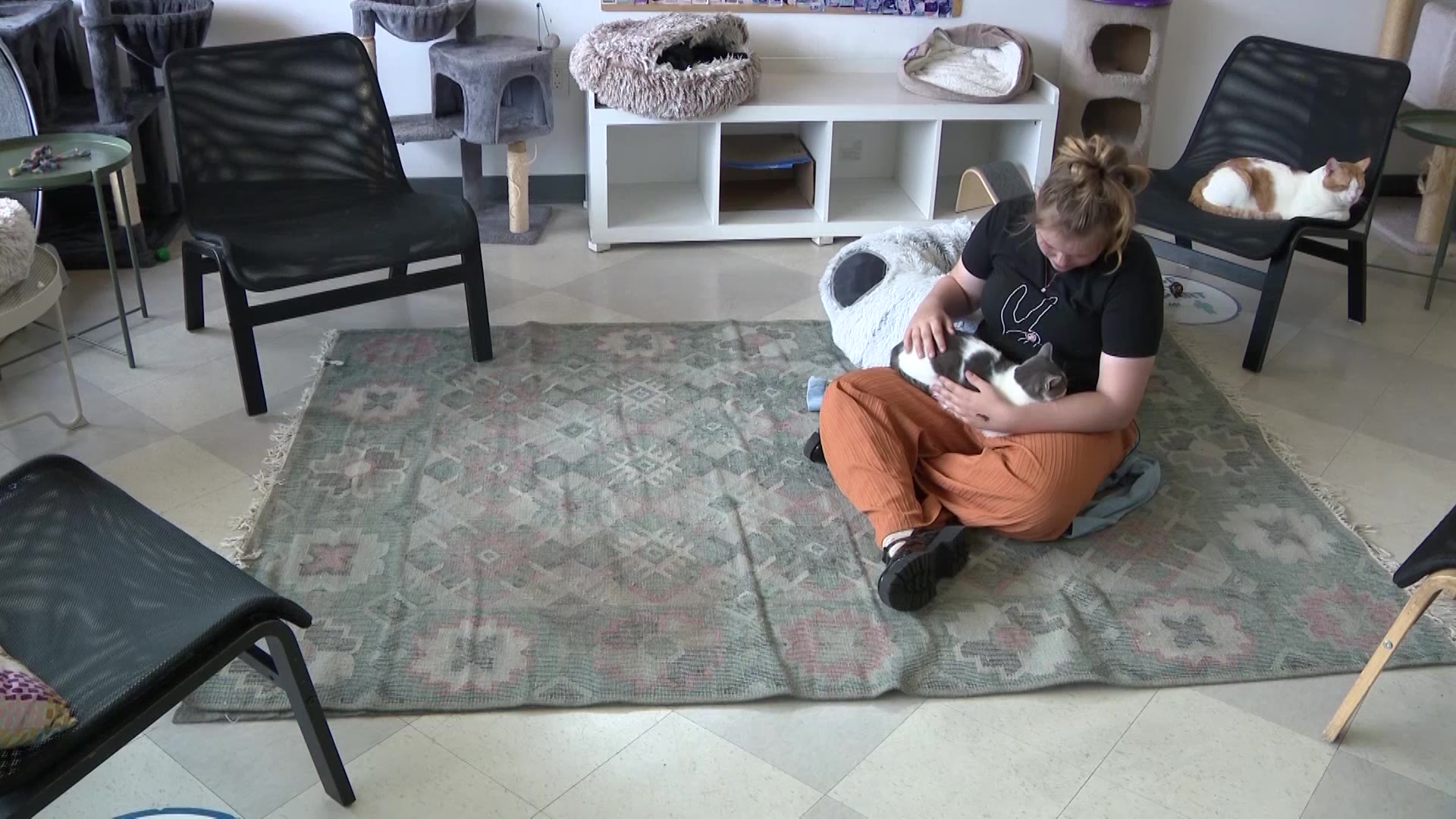 Kiara is pictured while a cat sits in her lap at Tinker's Cat Cafe in Salt Lake City.