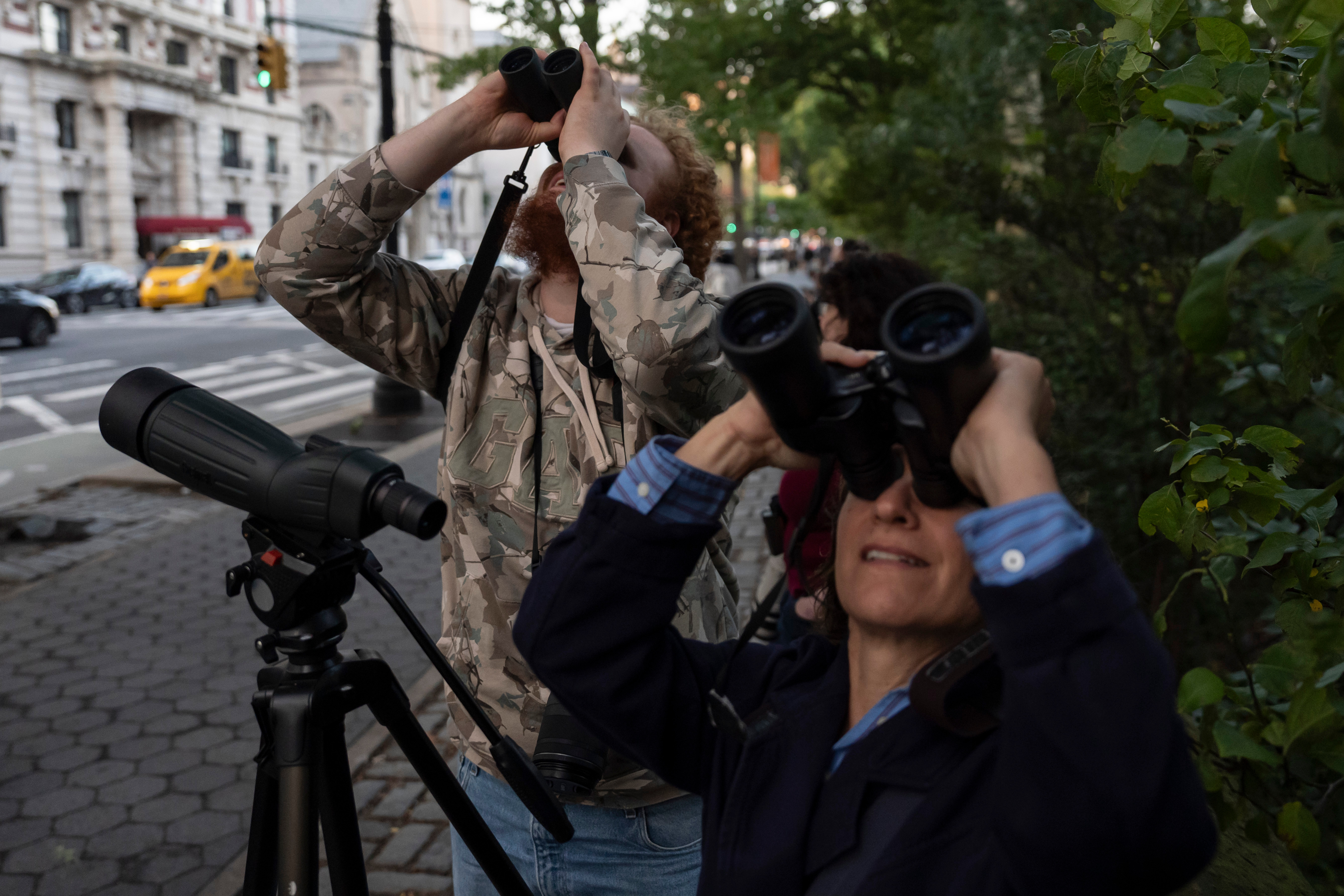 People look at American Barn Owls sit perched on a water tower on the Upper West Side neighborhood, Tuesday, in New York.