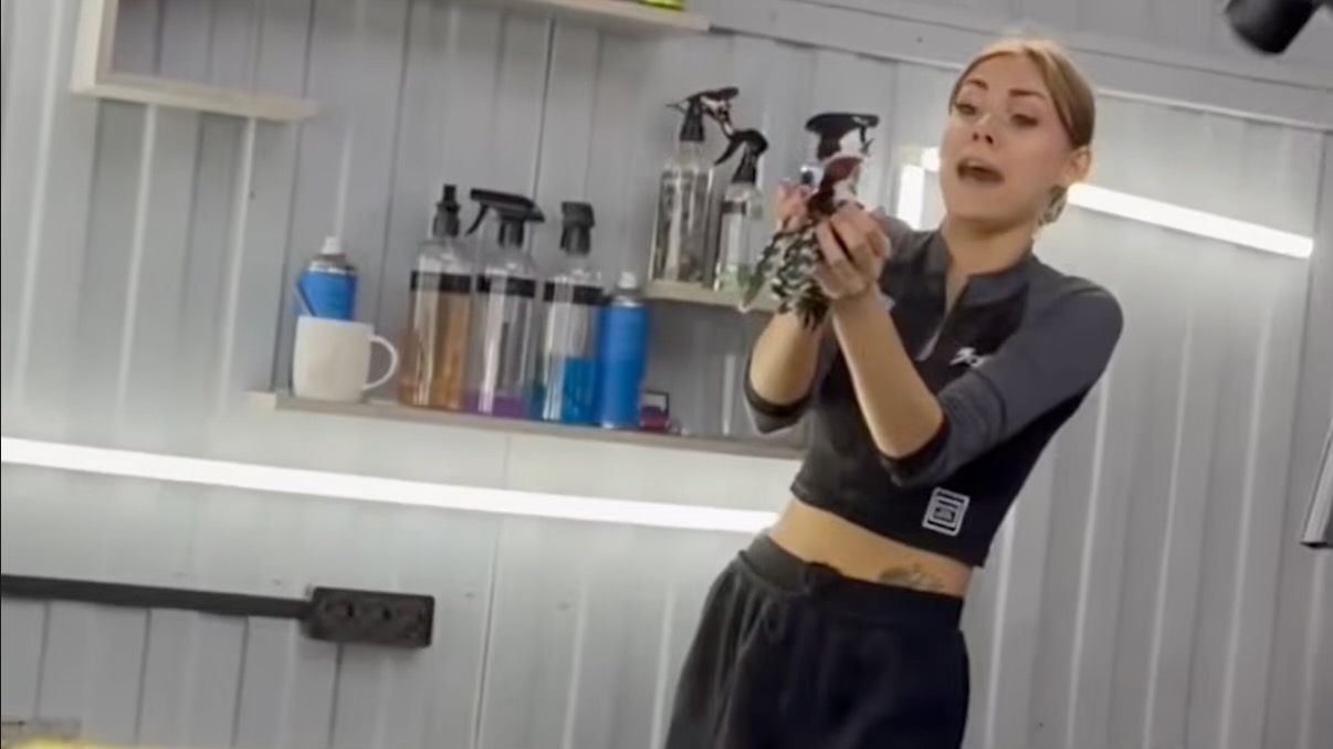 Have You Seen This? Trapped woodpecker flies into woman's hands