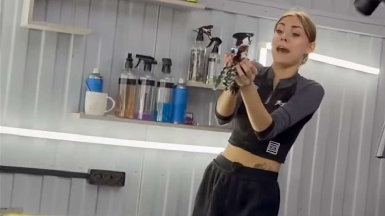 A woodpecker trapped inside a garage in Russia flew into the hands of a woman trying to help it. She caught it and carried the bird outside to freedom.