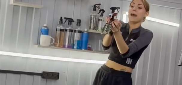 Have You Seen This? Trapped woodpecker flies into woman's hands